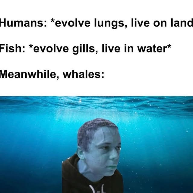  ....world   'recent posts' 