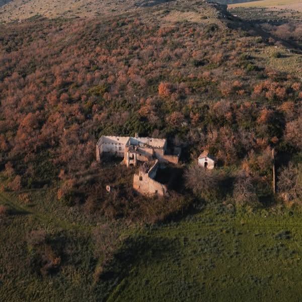  ....ylux   'recent posts' 