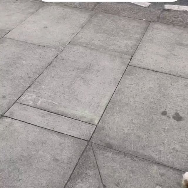  ....ofk9   'recent posts' 