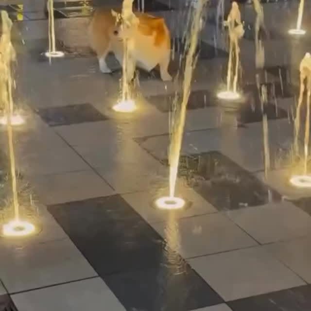  ......ogscute   'recent posts' 