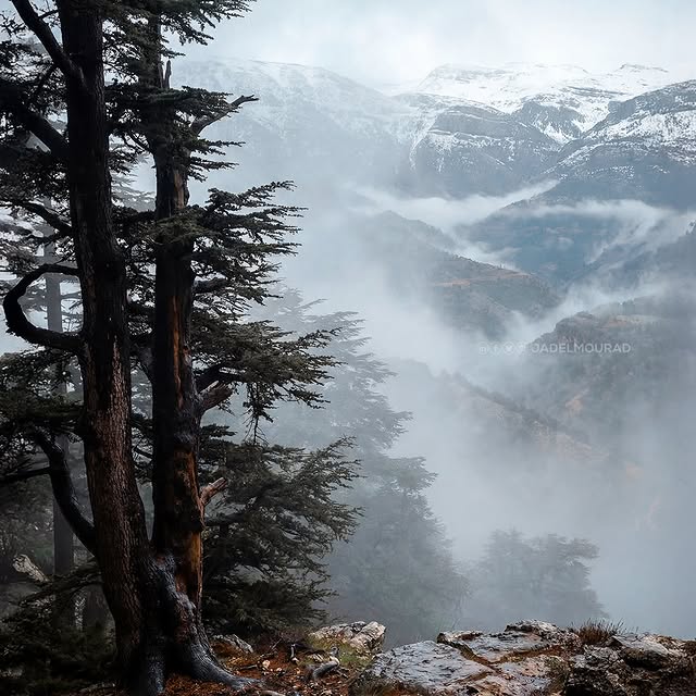  .....mourad   'recent posts' 