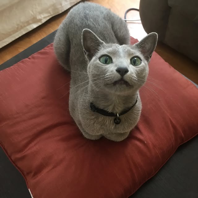  ......n_boris   'recent posts' 