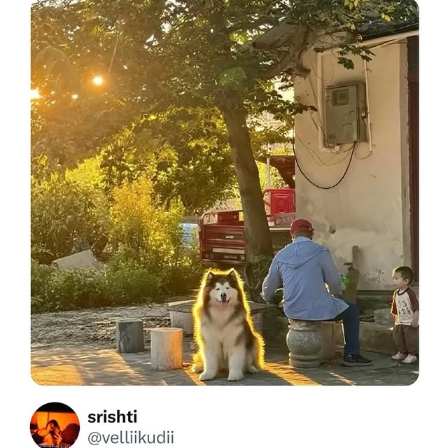  .....umors   'recent posts' 