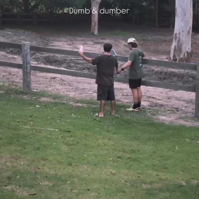  ......khabits   'recent posts' 