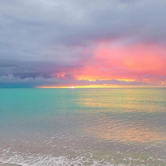  ......fervor   'recent posts' 