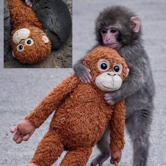  ......ureshub   'recent posts' 