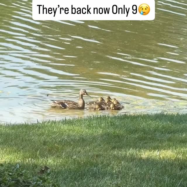  ......hstyle_   'recent posts' 