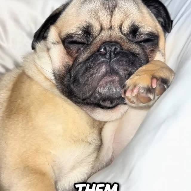  ........ykingdom   'recent posts' 