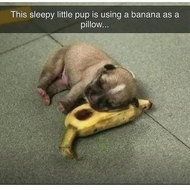  ......orable   'recent posts' 