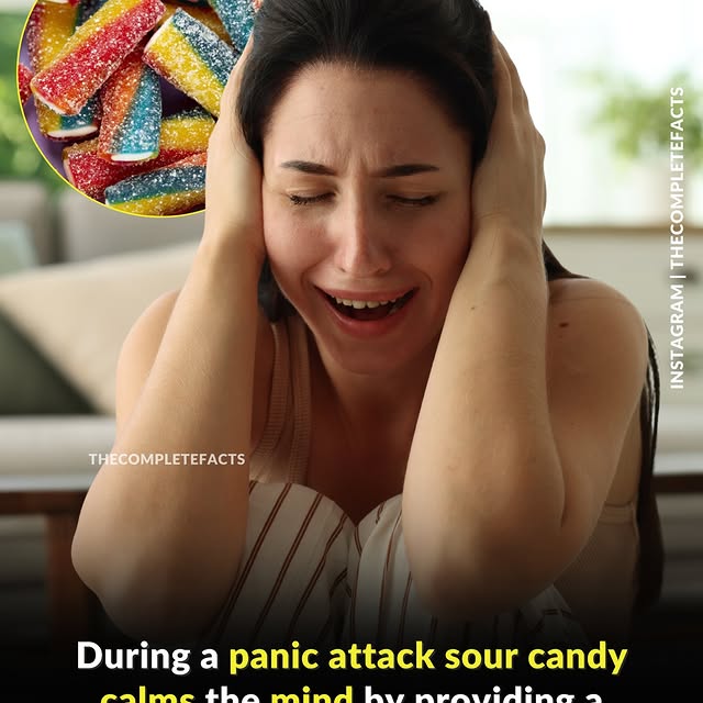  ........etefacts   'recent posts' 