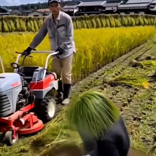  ...earn   'recent posts' 