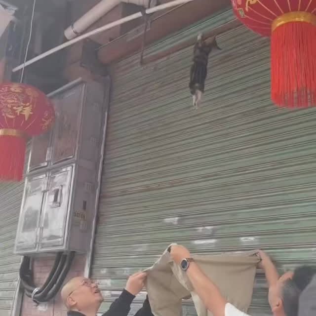  ...urre   'recent posts' 