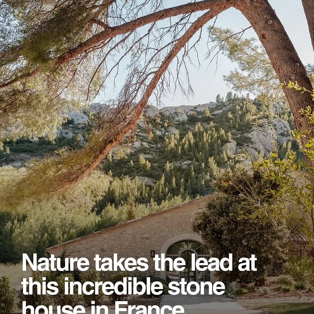  ....dose   'recent posts' 