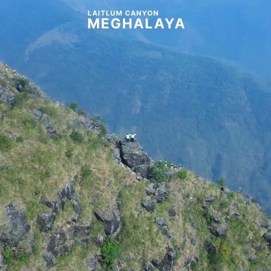  .....sumon_   'recent posts' 