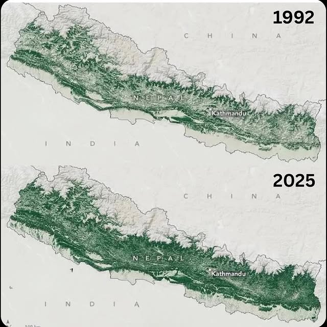  ......seviewz   'recent posts' 