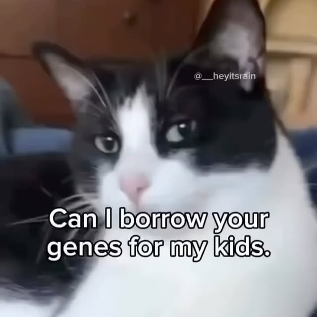  .....li9ht   'recent posts' 