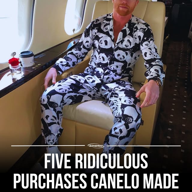  ...sado   'recent posts' 