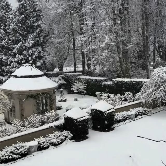  .......newport   'recent posts' 