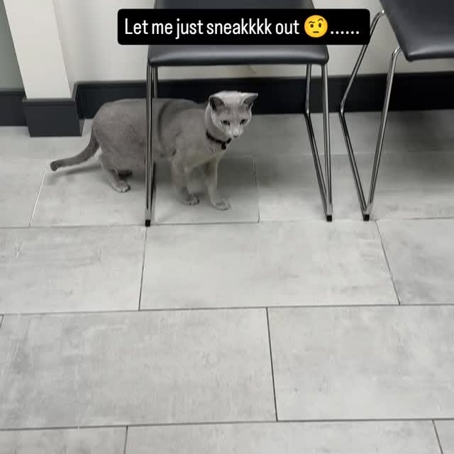  ......n_boris   'recent posts' 