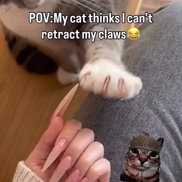  ....eowsy   'recent posts' 