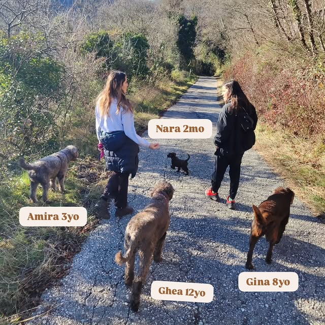  .........bradoodle   'recent posts' 