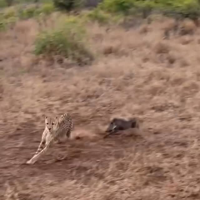  ........unlocked   'recent posts' 