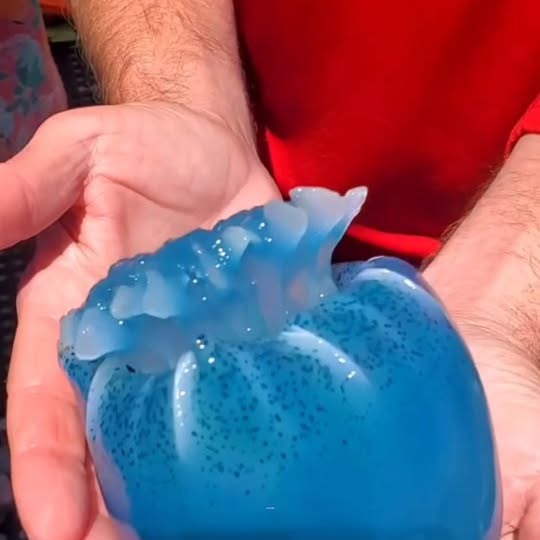  .....acthub   'recent posts' 