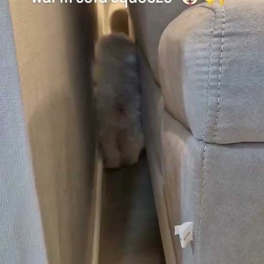  ......psworld   'recent posts' 