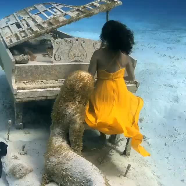  .......s.images   'recent posts' 