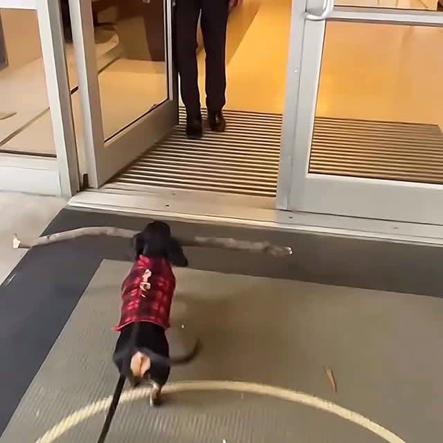  ........malsgram   'recent posts' 