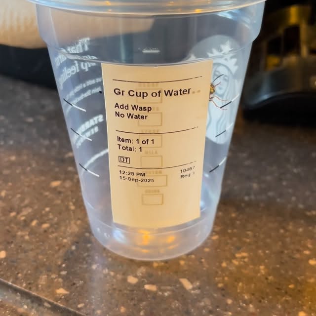  ........thedayig   'recent posts' 