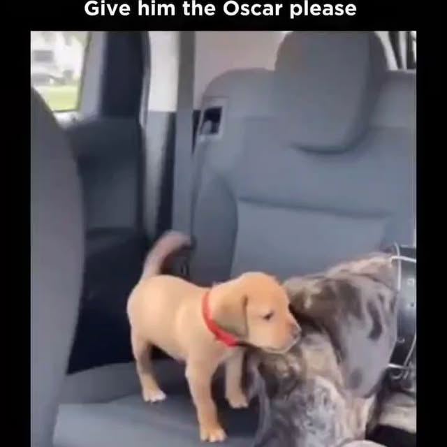  .....ibess   'recent posts' 