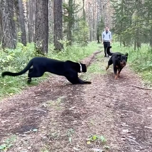  ........malsgram   'recent posts' 