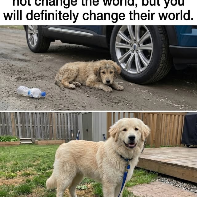  ........malsgram   'recent posts' 