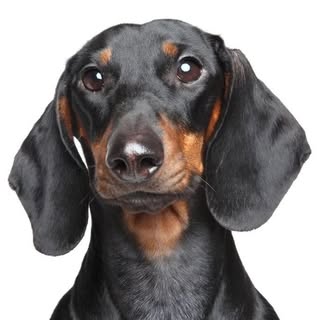 Hire .......ndrulzz influencer with 99k