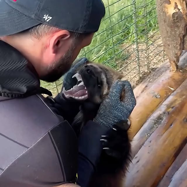  ........malsgram   'recent posts' 