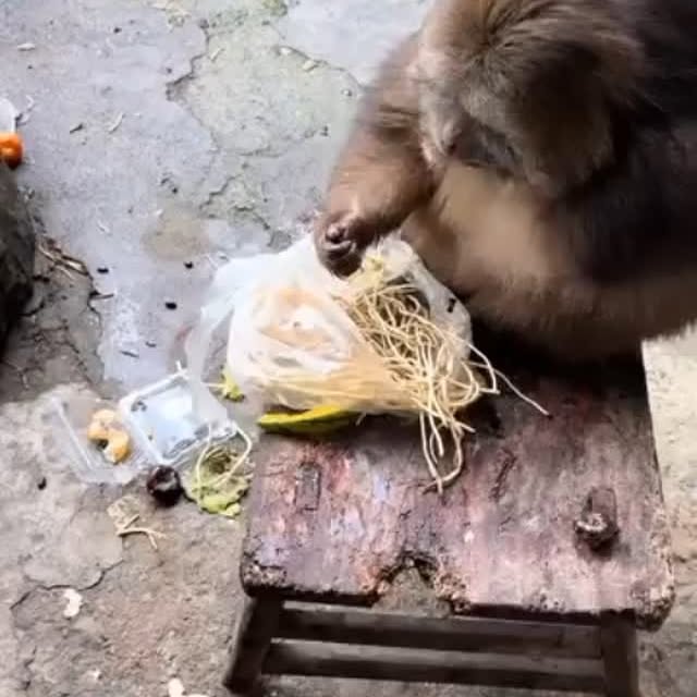  .......ureworld   'recent posts' 