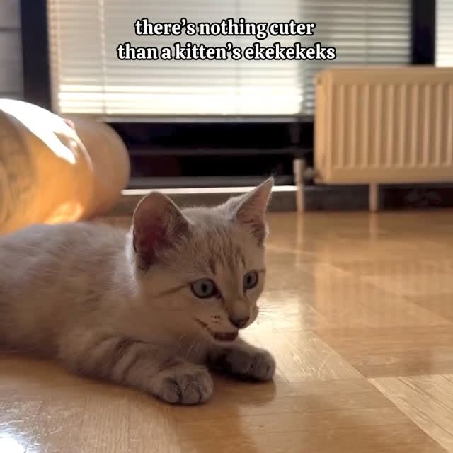  ......kekkek   'recent posts' 