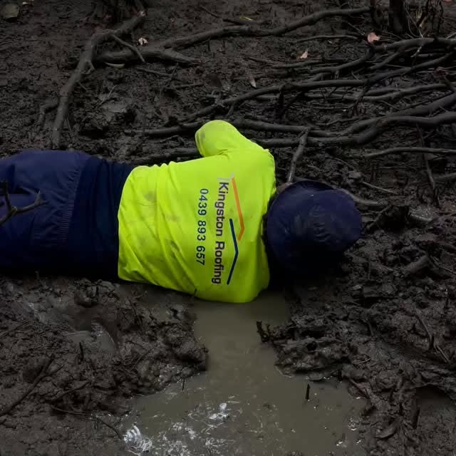  .....ideos   'recent posts' 