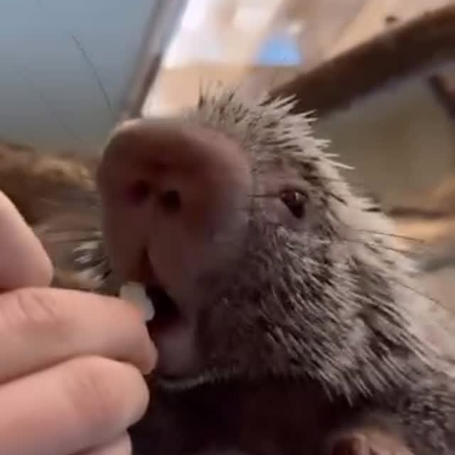  ........unlocked   'recent posts' 