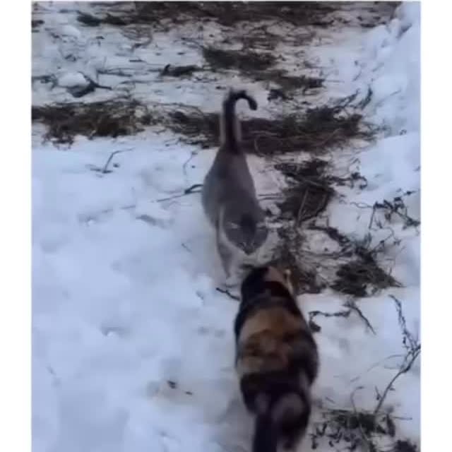  ......ctcars   'recent posts' 