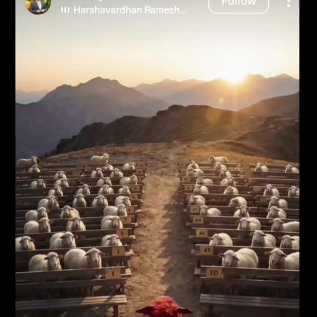  ......ustbin   'recent posts' 