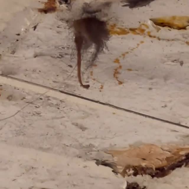  ..........y_iloveyou   'recent posts' 