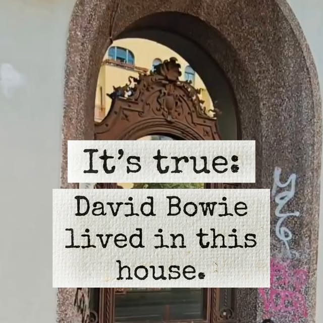  .......wiereal   'recent posts' 