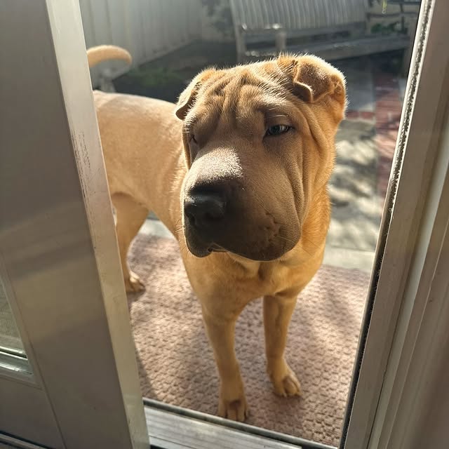  ......i.world   'recent posts' 