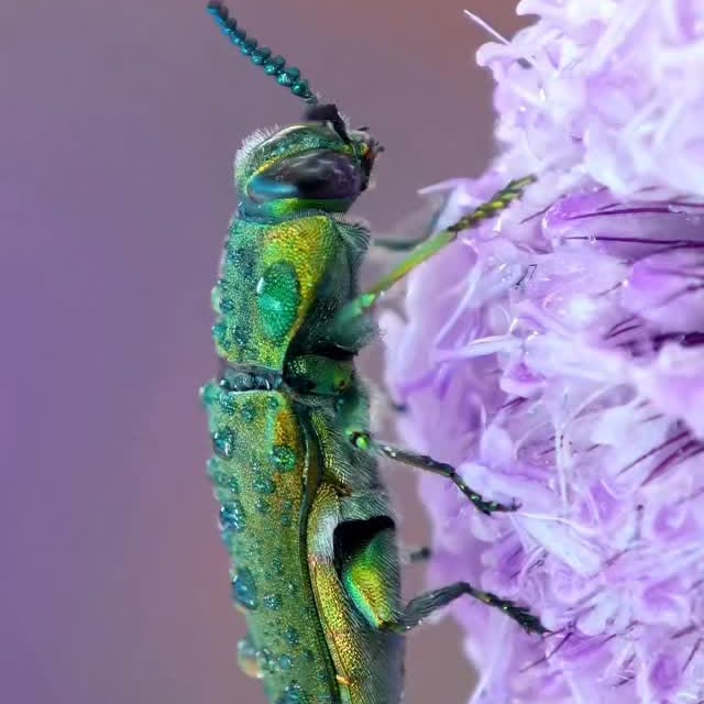  .....ature   'recent posts' 