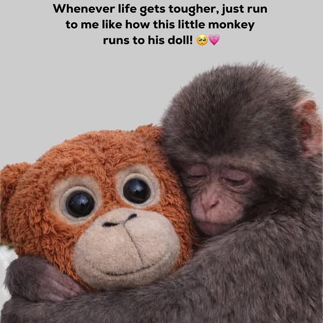  ......etword   'recent posts' 