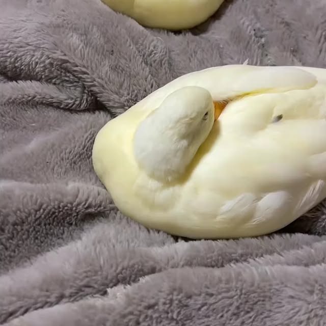  ........ckstatue   'recent posts' 