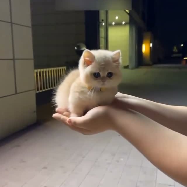  ......atclub   'recent posts' 