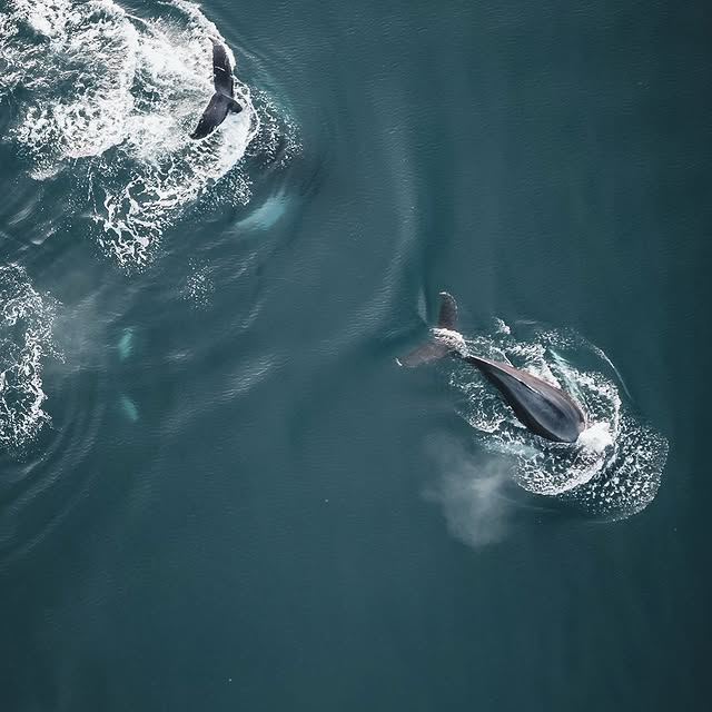  ......otsbymb   'recent posts' 